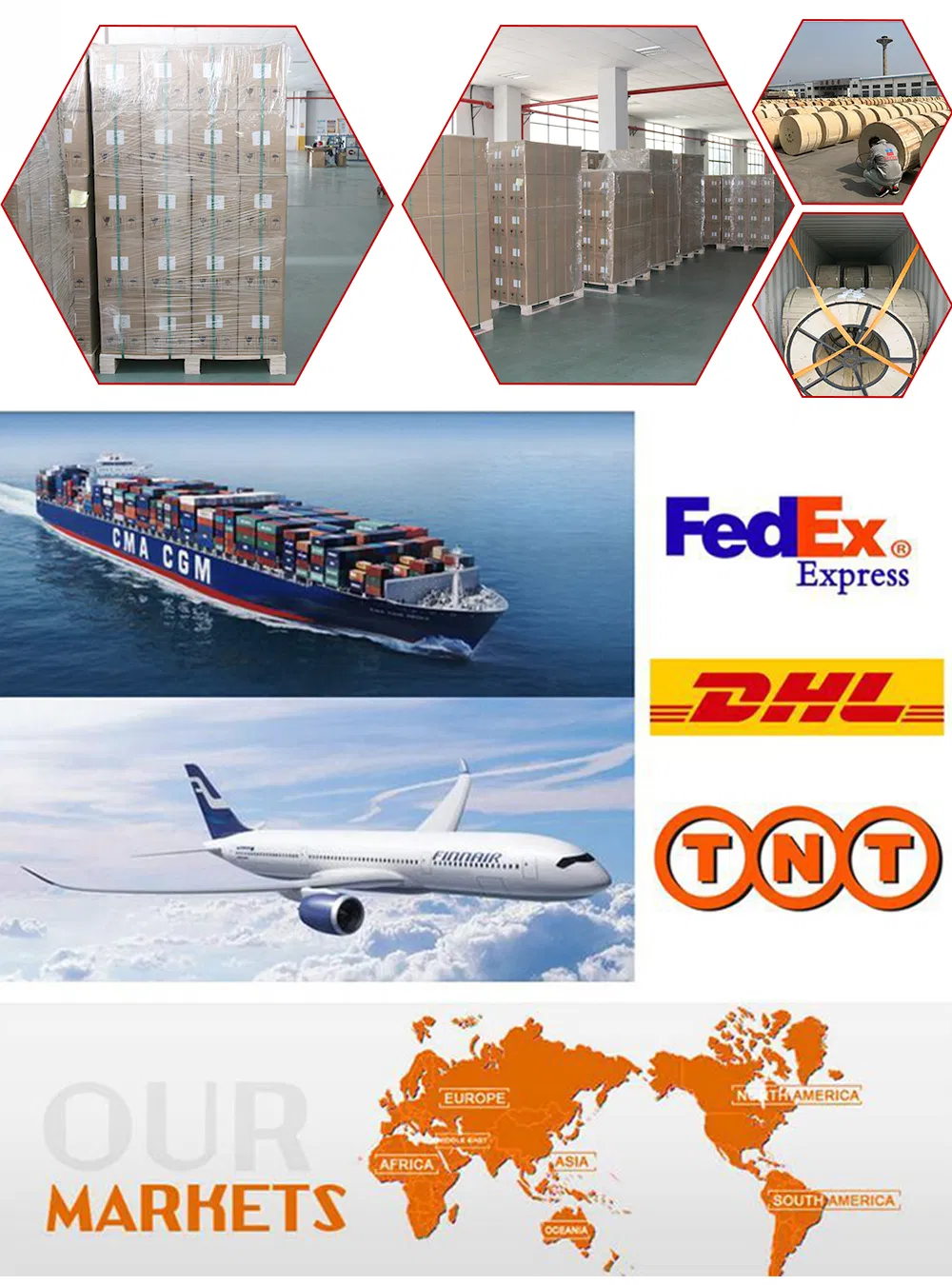 12 Core Fiber Optic Distribution Frame Tececom Fiber Optic ODF