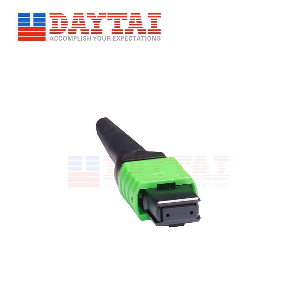 24 Core Sm Trunk Patch Cord for Male to Female Connector