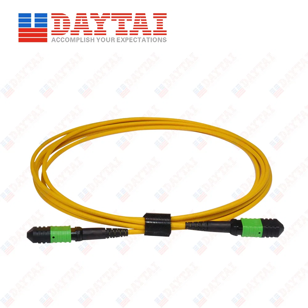 24 Core Sm Trunk Patch Cord for Male to Female Connector