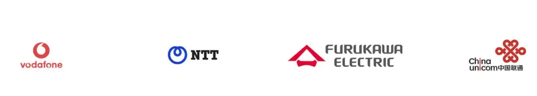 China Supplier 8f 12f 24f MTP High Quality MTP Patch Cord Optic