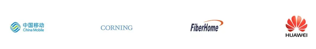 China Supplier 8f 12f 24f MTP High Quality MTP Patch Cord Optic