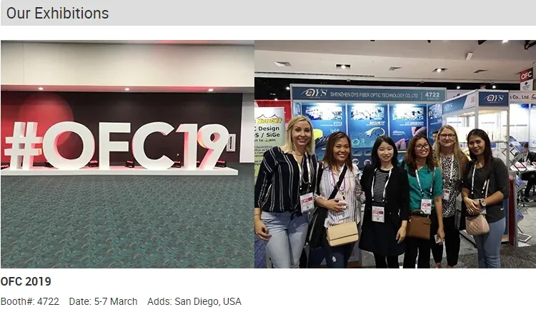 Outdoor Waterproof IP65 Mini Sc FTTH Optical G657A 3.0mm Cable 1m Fiber Optic Patch Cord