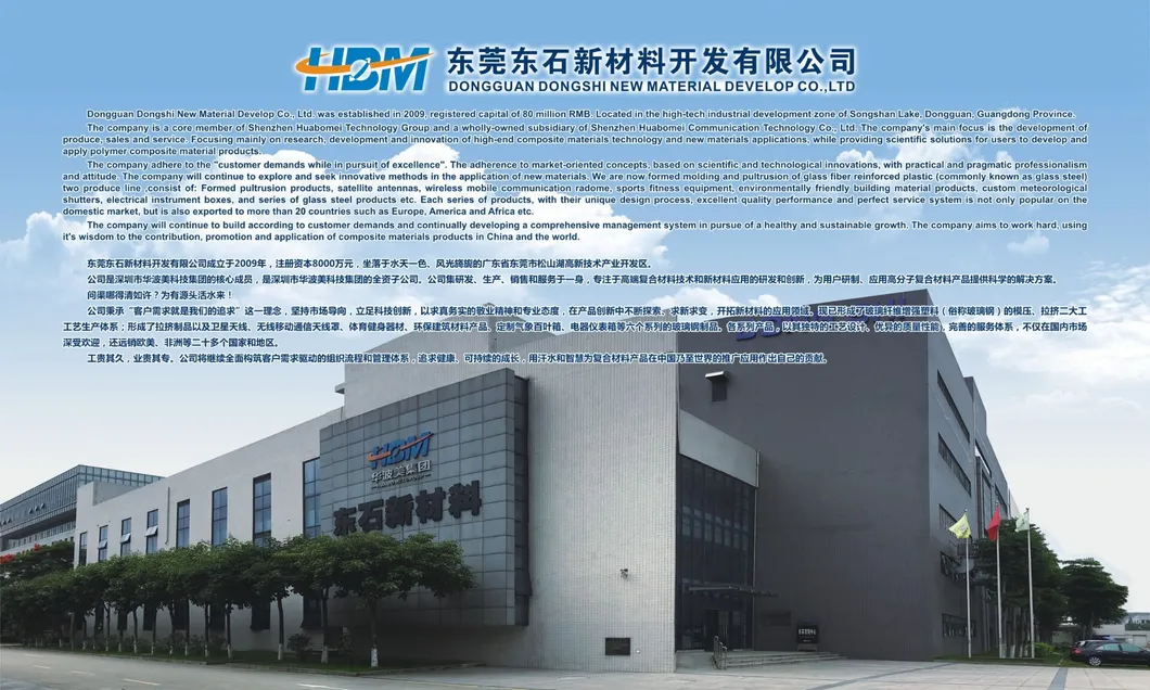 SMC 0.75m Ku Band Earth Station FRP Satellite Antenna for TV/Industry/Home/Base Station/Receive/Outdoor